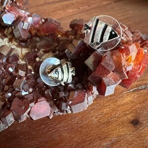 Silver Fish Stud Earrings